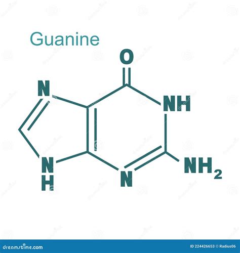Chemical Structural Formula Of Guanine Dna And Rna Nitrogen Base Stock Vector Illustration