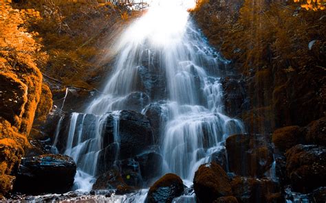 Download Wallpaper 1920x1200 Waterfall Stones Spray Wildlife Stream