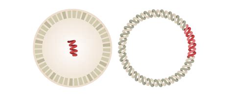 All 3,500 appointments made available february 27, 2021 have been booked. Coronavirus Vaccine Tracker - The New York Times