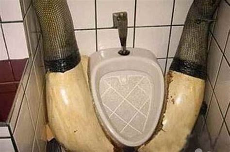30 Most Epic And Creative Toilets Around The World