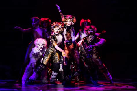 Cats Broadway Cast 2016 A Cast Recording By The Original Broadway