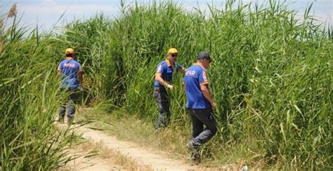 Rüyada Çocuğunun Kaybolduğunu Görmek - Nedir ve Nasıl