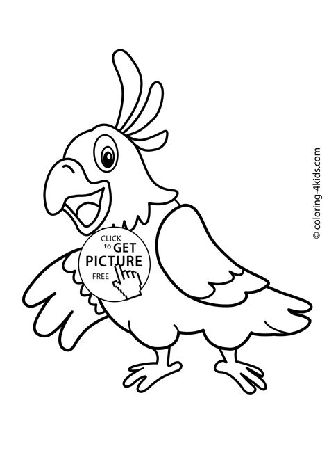 Parrot Animals Coloring Pages For Kids Printable Free Coloing