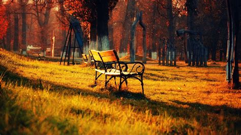 Golden Park Bench Autumn Landscape Widescreen Wallpaper Preview