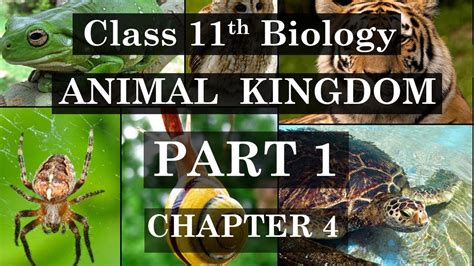11th Class Biology Chapter 4 Animal Kingdom Part 1