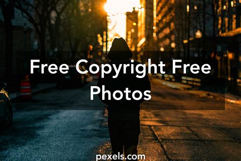 250 Interesting Copyright Free Photos · Pexels · Free Stock Photos