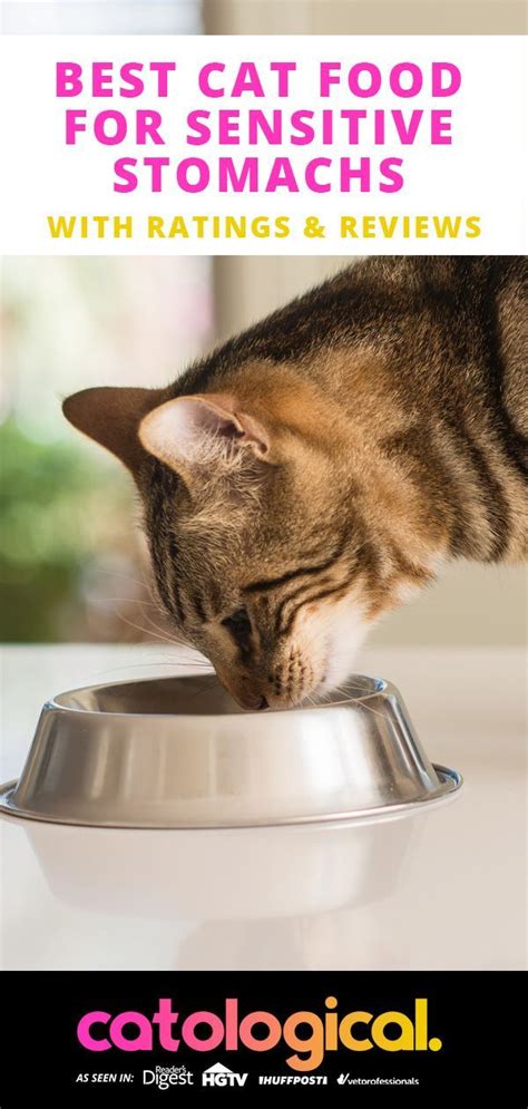 Change Cat Food Diarrhea
