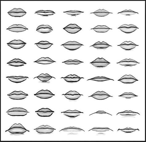 Different Types Of Lips Lips Drawing Drawing People Mouth Drawing
