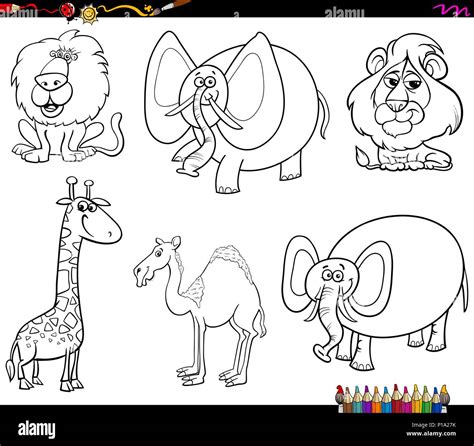 Black And White Coloring Book Cartoon Illustration Of Funny Wild Animal