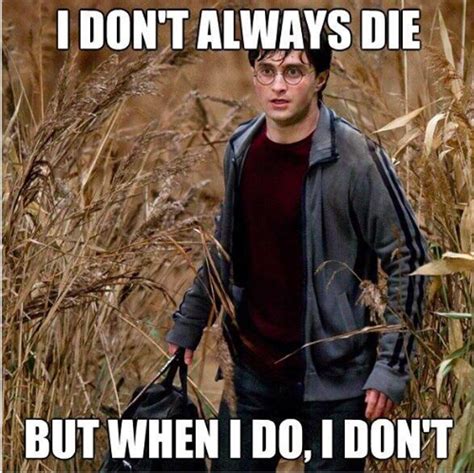 15 Hilarious Harry Potter Memes Only True Fans Will Understand Once A Potterhead Always A