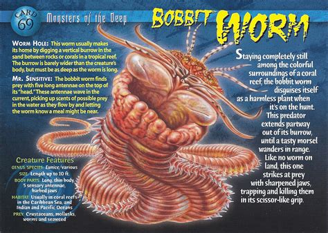 Bobbit Worm Weird N Wild Creatures Wiki Fandom