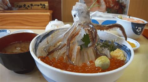 Zwischen Ekel Und Genuss 10 Bizarre Gerichte Aus Japan