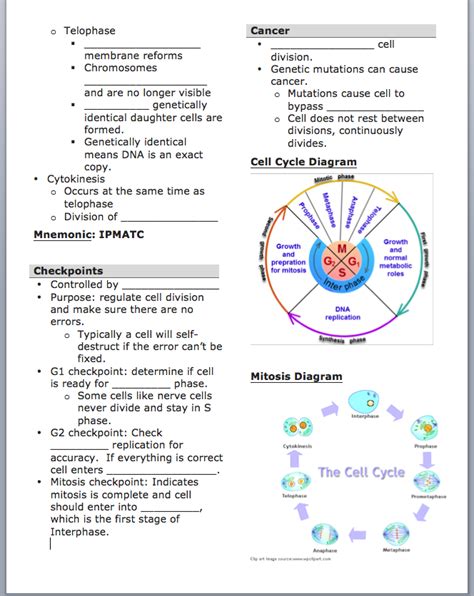 Our main purpose is that these review the cell cycle worksheet answer key photos gallery can be a guidance for you, give you more inspiration and also help you get a nice day. mariaing licensed for non-commercial use only / IU5
