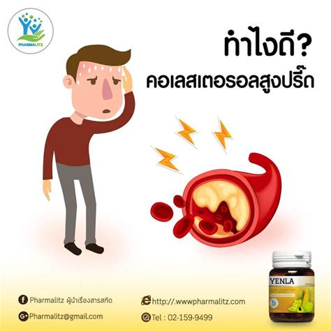 จากการสำรวจค่าความสกปรกในรูปบีโอดีของแพปลาในลุ่มน้ำภาคใต้เฉลี่ยเท่ากับ 6,856 มิลลิกรัมต่อลิตร (กรมควบคุมมลพิษ, 2541) ส่วน. ค่าคอเลสเตอรอลที่ได้จากการตรวจเลือด ควรมีค่าน้อยกว่า 200 ...