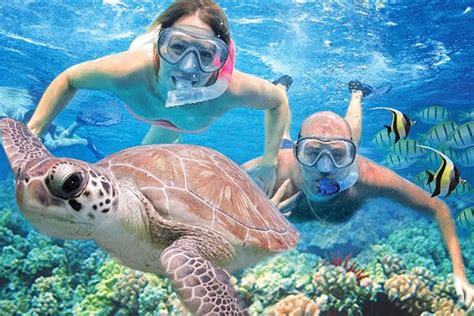 Kauai Small Group Shore Snorkeling Tour 2024