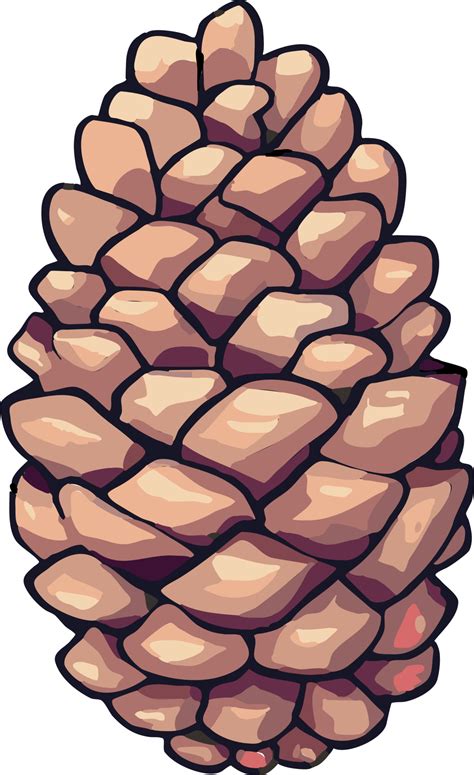 Pine Cone Png Graphic Clipart Design Png