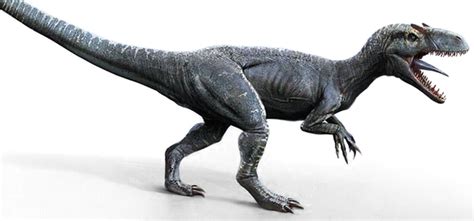 Imagen Allosaurus 0png Jurassic Park Wiki Fandom Powered By Wikia