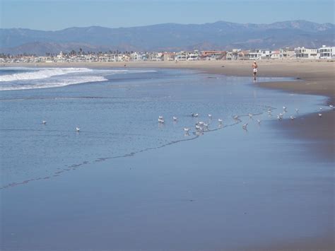 Channel Islands Beach Ca Saturday Moring Beach Run In Front Of