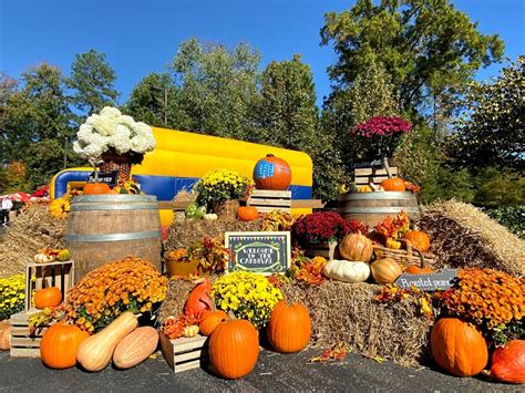 fall festival harvest decor arrangements and vignettes magic special events event rentals