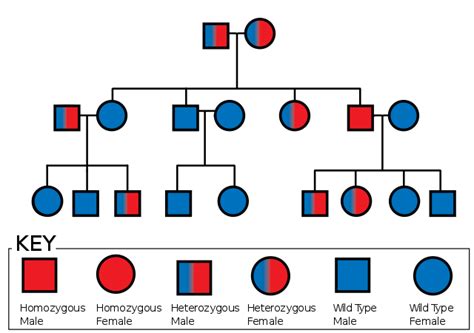 The History Of Medical Genetics The Lecturio Online Medical Magazine