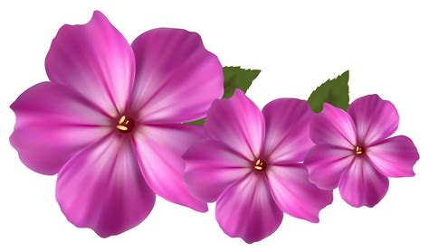 Pink Flower Decor Png Clipart Clipart Best Clipart Best