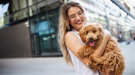 Although some pets may cost less to care for than others and you may not really need pet health insurance, people with cats and dogs — and especially with breeds known for health problems such as great danes or. How to Decide If Pet Insurance Is Worth the Cost