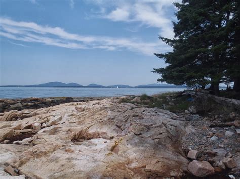 The Pursuit Of Life Mount Desert Island And Swans Island Maine Island