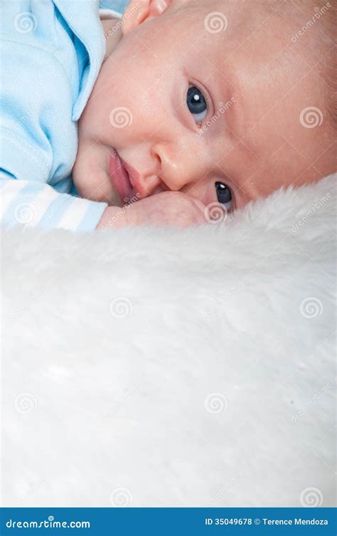 Close Portrait Of Blue Eyed Baby Boy Stock Photo Image Of Young Face