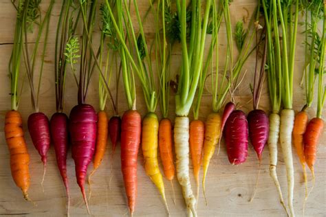 Learn About Carrot Color And Varieties To Grow