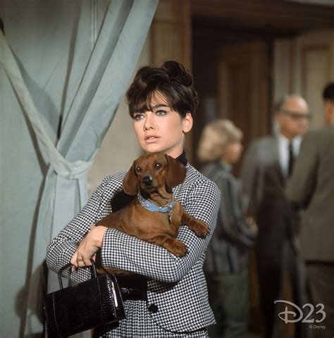 The Ugly Dachshund Classic Disney With Suzanne Pleshette And