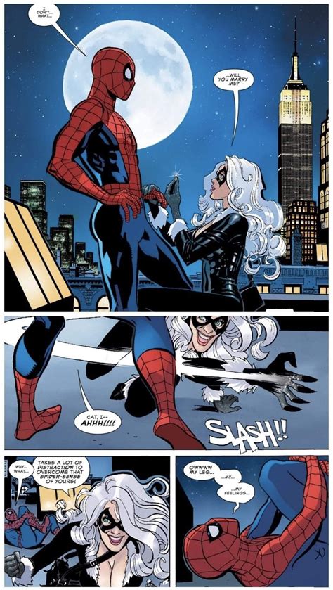 Peter Parker Spider Man And Felicia Hardy Black Cat Marvel Funny