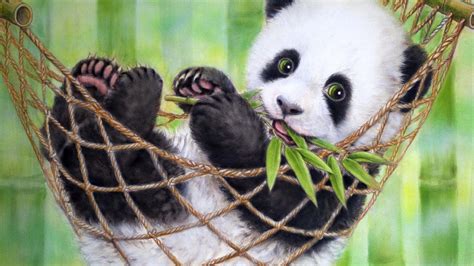 Baby Panda Hd Wallpapers Wallpaper Cave Riset