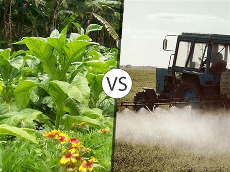 Organic Agriculture Vs Conventional Agriculture Smoking Organic