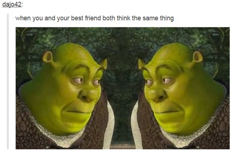 When You And Your Best Friend Both Think The Same Thing Shrek Know