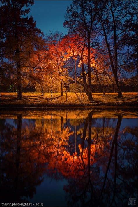 Night Park By A E 500px Autumn Scenery Autumn Scenes Nature