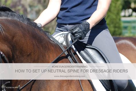 Croft dressage intro to elementary: How To Set Up Neutral Spine For Dressage Riders