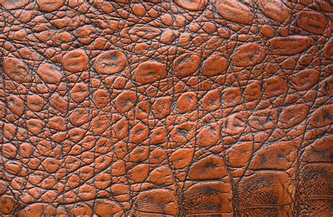 Leather Skin Texture Free Photo On Pixabay Pixabay