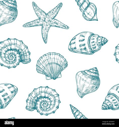 Seashells Seamless Pattern Sea Shell Summer Ocean Texture Nautical