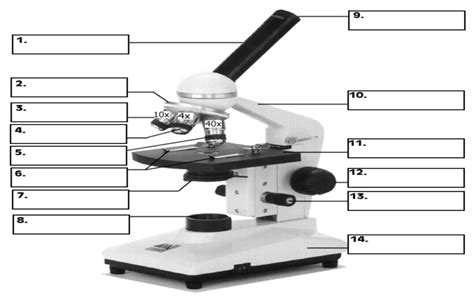 Science Microscope Activity Diagram Quizlet