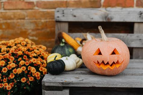 7 Eco Friendly Ways To Celebrate Halloween In 2020 Greener Ideal