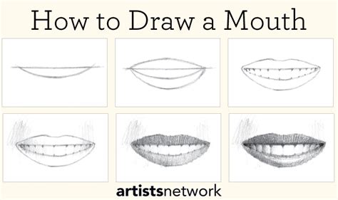Drawing For Beginners Free Step By Step Guide Artists Network