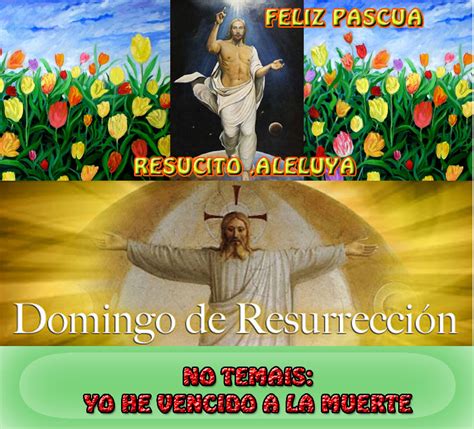Pictures by kandella 0 / 1 hand sketched feliz pascua quote in spanish as banner. EL PASIONISTA: FELIZ PASCUA DE RESURRECCION