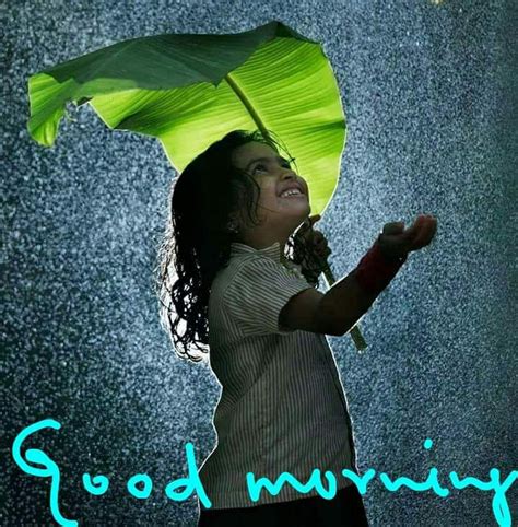 Sign In Good Morning Rainy Day Rainy Good Morning Good Morning Beautiful Pictures