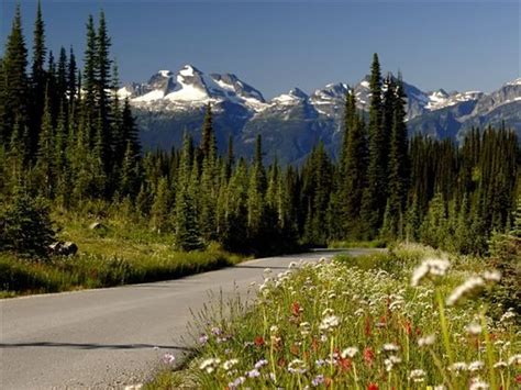 Discovery Views Of Mountains In Mount Revelstoke National Park From The