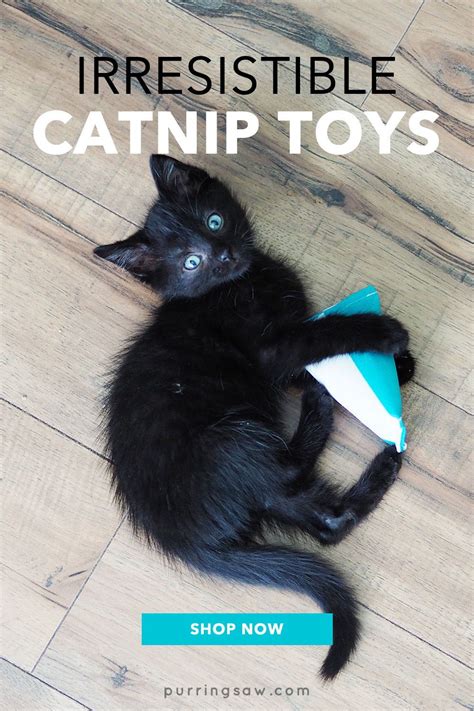 When a cat eats catnip, it acts as a sedative, but when smelled, it causes the cat to go crazy. Catnip Cat Toys - Pouncers! from The Purring Saw in 2020 ...