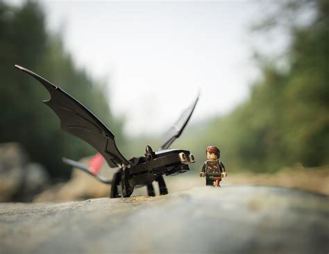 Please do not use the dragons for profit. night fury #2 | Women's Brick Initiative