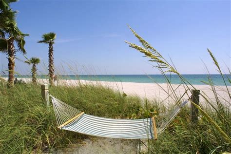 Dreaming Of Ocean Breezes And Palm Trees Florida Northredingtonbeach