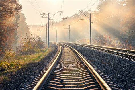 Railroad In Beautiful Forest In Fog At Sunrise In Autumn Stock Photo