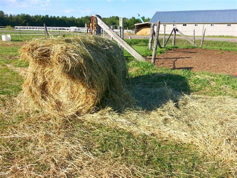 Bale Of Hay Free Stock Photo Public Domain Pictures