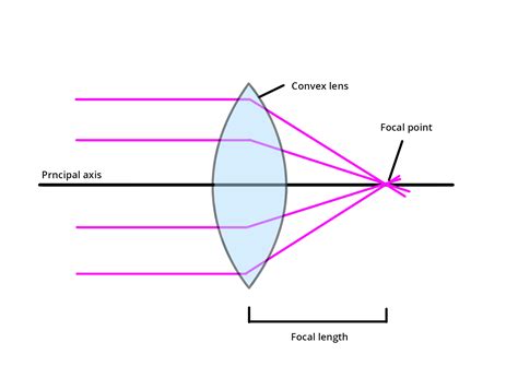 what are concave and convex lenses definition types and importance physics aesl